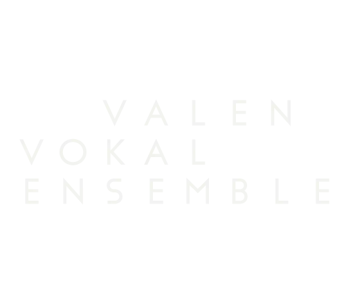 Valen logo